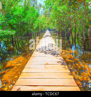 Prospettiva del sentiero in legno su acqua Foto Stock