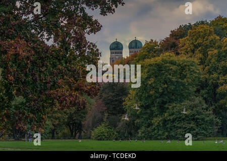 Leafes colorati di alberi nella capitale Bavarese di Monaco di Baviera. Foto Stock