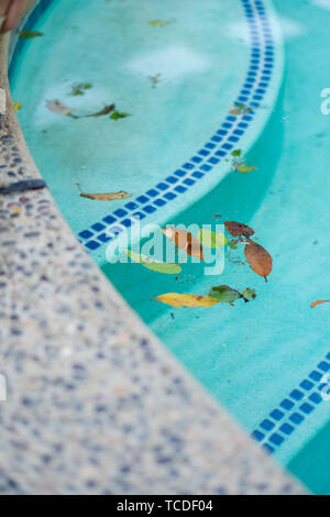 Le foglie galleggianti in una sporca piscina. Foto Stock