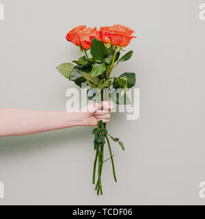 Mano femminile è in possesso di un mazzo di rose rosse. Lunghi steli di fiori con il verde delle foglie e boccioli rosso. Biglietto di auguri per una vacanza o un anniversario Foto Stock