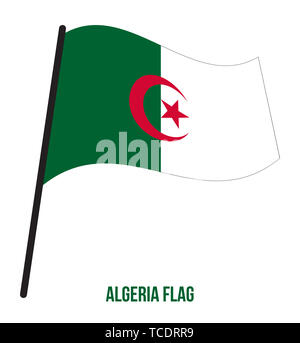 Algeria bandiera sventola illustrazione vettoriale su sfondo bianco. Algeria bandiera nazionale. Foto Stock