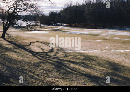 Vista invernale del grande prato, creato nel 1780's da Fredrik Magnus Piper per il re Gustav III, Haga Park, Solna, Stoccolma, Svezia e Scandinavia Foto Stock