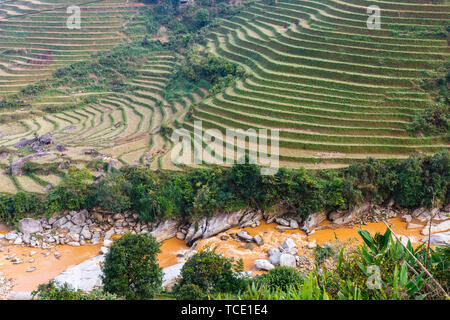Riso terrazzati paesaggio del campo vicino a Sa Pa, Lao Cai, Vietnam. Foto Stock