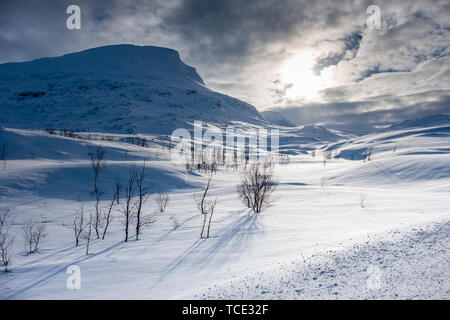 Paesaggio invernale, Abisko National Park, Lapponia svedese, Kiruna, Svezia Foto Stock