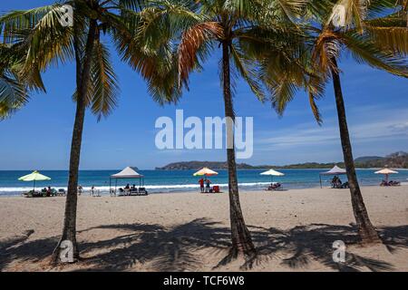 Le palme e la spiaggia di sabbia con la bassa marea a Samara, Playa Samara, Nicoya peninsula, provincia di Guanacaste, Costa Rica, America Centrale Foto Stock