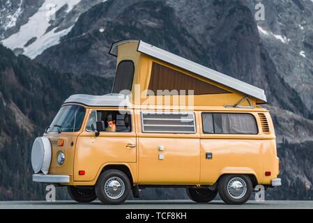 Cane guarda fuori dalla finestra auto, vecchio bus VW T2 con tetto aperto, oldtimer, campeggio auto nella parte anteriore del paesaggio di montagna, Mt Shuksan, Artist Point, Washi Foto Stock