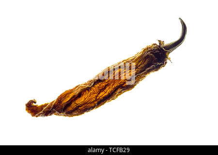 Retroilluminato con peperoncino rosso secco isolati su sfondo bianco. Foto Stock