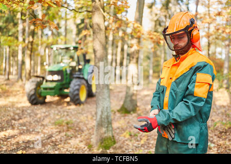 Forest lavoratore mette su guanti in dispositivi di protezione per la sicurezza professionale durante lavori forestali Foto Stock