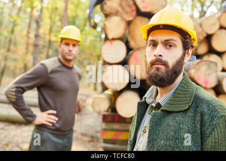 Due dei lavoratori forestali o lumberjack caricamento registri lungo durante la raccolta Foto Stock