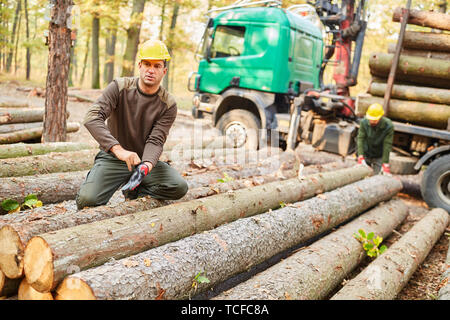 Forest lavoratore dopo la raccolta di legno mentre il caricamento di legno lunga su un lungo legno carrello Foto Stock