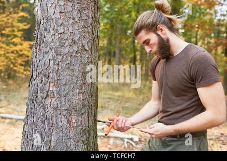 Giovane ranger nella determinazione dell'età di albero con il trapano di crescita Foto Stock