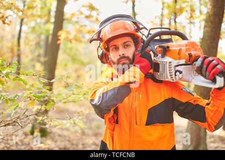 Forest agricoltore in abbigliamento protettivo con chainsaw come un taglialegna nel bosco durante la raccolta Foto Stock