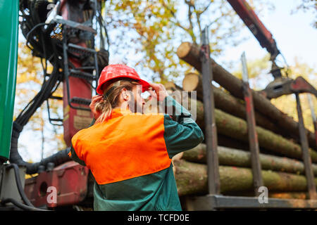 Foresta di giovane lavoratore presso lo spedizioniere durante il caricamento e il trasporto di legno lunga Foto Stock