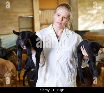 Ritratto di donna qualificata veterinario lavorando su caprini farm, cercando dopo poco capre Foto Stock