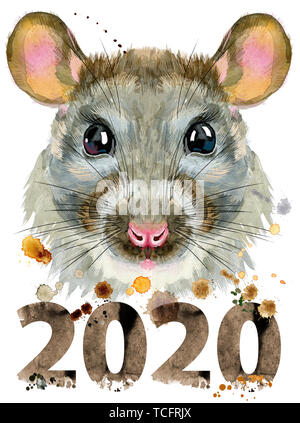 Carino rat per t-shirt grafica. Acquerello illustrazione di ratto con 2020 Foto Stock