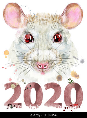 Carino ratto bianco per T-shirt grafica. Acquerello illustrazione di ratto con 2020 Foto Stock