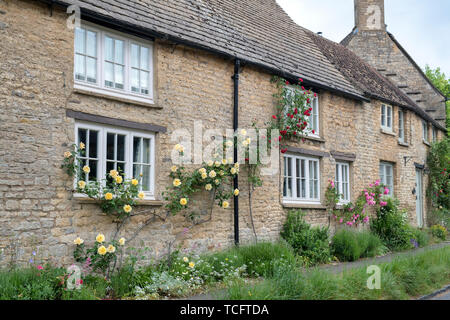 Rose giallo su un cottage del villaggio di Churchill, Cotswolds, Oxfordshire, Inghilterra Foto Stock