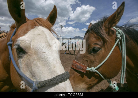 Heber City, Utah, Stati Uniti d'America. Il 6 giugno, 2019. Gli studenti a cavallo warm up prima di prendere parte alla Pole bending evento presso la Utah High School Rodeo Association Finals di Heber City Utah, Giugno 7, 2019. Gli studenti di tutto lo stato dello Utah si sono riuniti per competere in Barrel racing e Pole bending, Capra di legatura, Breakaway Roping, Mucca Taglio, Bull Riding, Bareback Riding, Saddle Bronc Riding, legare giù di roping, Steer wrestling, e Team roping. Credito: Natalie Behring/ZUMA filo/Alamy Live News Foto Stock