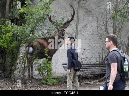 Kiev, Ucraina. Il 7 giugno, 2019. I turisti a piedi passato un cervo graffiti in città abbandonate di pripjat, vicino alla centrale nucleare di Cernobyl, Ucraina, il 7 giugno 2019. Il successo di un'U.S. Del HBO miniserie televisiva "Chernobyl' ha rinnovato interesse in tutto il mondo su dell'Ucraina 1986 catastrofe nucleare. Turismo a Cernobyl ha spiked 40% dopo il debutto della serie HBO in maggio, agenzie di giro riportato . Credito: ZUMA Press, Inc./Alamy Live News Foto Stock