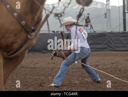 Heber City, Utah, Stati Uniti d'America. Il 7 giugno, 2019. Una giovane donna capovolge una capra sulla sua schiena nella capra evento di legatura in Utah High School Rodeo Association Finals di Heber City Utah, Giugno 7, 2019. Gli studenti di tutto lo stato dello Utah si sono riuniti per competere in Barrel racing e Pole bending, Capra di legatura, Breakaway Roping, Mucca Taglio, Bull Riding, Bareback Riding, Saddle Bronc Riding, legare giù di roping, Steer wrestling, e Team roping. Credito: Natalie Behring/ZUMA filo/Alamy Live News Foto Stock