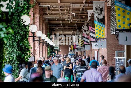 Elmont, NY, STATI UNITI D'AMERICA. 8 Giugno, 2019. Giugno 8, 2019 : Scnes da Belmont Stakes Festival sabato a Belmont Park di Elmont, New York. Scott Serio/Eclipse Sportswire/CSM/Alamy Live News Foto Stock