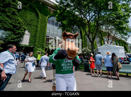 Elmont, NY, STATI UNITI D'AMERICA. 8 Giugno, 2019. Giugno 8, 2019 : Scene di Belmont Stakes Festival sabato a Belmont Park di Elmont, New York. Scott Serio/Eclipse Sportswire/CSM/Alamy Live News Foto Stock