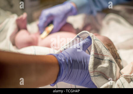 Multi-etnico neonato immediatamente dopo essere nato / parto essendo curata da infermieri e professionisti della salute Foto Stock