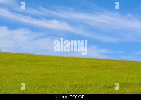 Wispy nuvole bianche galleggiante in un luminoso cielo blu su verdi colline di erba Foto Stock
