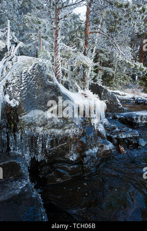 Alberi e rocce coperte di ghiaccio a riva del lago Foto Stock