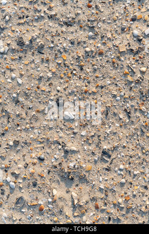 Close-up di un sacco di conchiglie di mare frammenti sparsi su sabbia di una spiaggia tropicale. Foto Stock