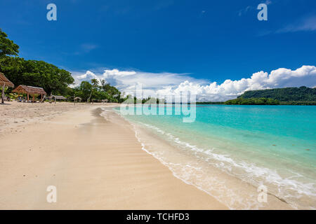 Porta incredibile Orly spiaggia sabbiosa con palme, Espiritu Santo Isola, Vanuatu. Foto Stock