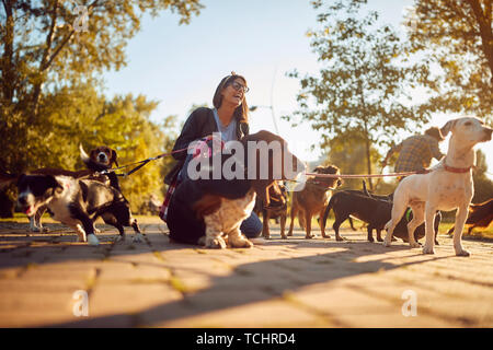 Felice ragazza camminare e giocare con i loro cani mentre fuori su una passeggiata Foto Stock