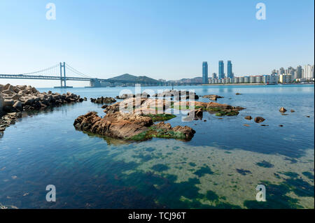 Spiaggia Gwangalli e Gwangan Bridge, una popolare destinazione turistica in Busan, Corea del Sud Foto Stock