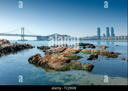 Spiaggia Gwangalli e Gwangan Bridge, una popolare destinazione turistica in Busan, Corea del Sud Foto Stock