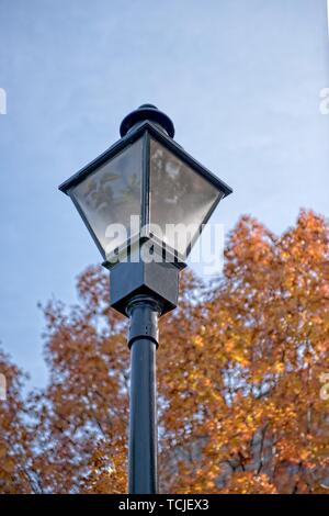 Una strada luminosa è circondato da rosso e arancio fogliame di autunno quercia Foto Stock