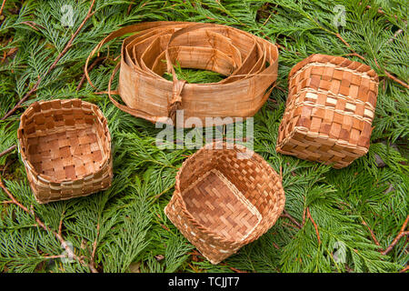 Rotolo di arrendevole Western Red Cedar corteccia interna e tre handmade Western Red Cedar canestri intrecciati da strisce di corteccia interna, giacente su Western Red Cedar b Foto Stock