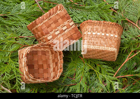 Tre handmade Western Red Cedar canestri intrecciati da strisce di corteccia interna, giacente su Western Red Cedar filiali Foto Stock