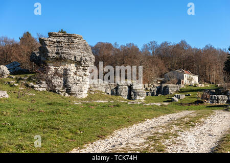 I monoliti di pietra calcarea. Insolito erosione carsica formazioni nel Parco Naturale Regionale della Lessinia (Valle delle Sfingi), Veneto, Verona, Italia, Europa Foto Stock