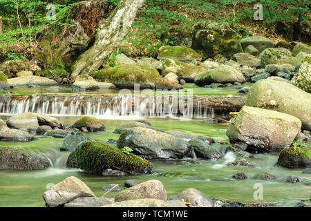 Flusso rinfrescante nella foresta. bellissimo paesaggio naturale in estate. rocce di muschio tra il torrente. tronco in acqua formano una piccola cascata Foto Stock