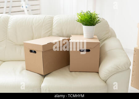 Scatole con le cose e un fiore in pentola stand sul lettino durante gli spostamenti dei residenti verso un nuovo appartamento. Il concetto di acquisto di una casa e il Foto Stock