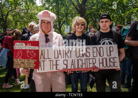 Londra, Regno Unito. 8 Giugno 2019. I vegani si incontrano a Leicester Square e dopo un intervento di un attivista vegano che ha ricordato loro la grande aumento di appoggio per il veganismo hanno marciato n Londra per chiedere la fine di l'allevamento, la pesca e la macellazione degli animali. Essi gridavano per porre fine alla uccisione di animali che dicono che hanno motivo di dolore e di amore i loro giovani e vogliono vivere "come noi' e distribuire volantini alle persone su occupato le strade dello shopping. Si fermarono a Soho Square per ulteriori interventi, compresi da Vanessa Hudson dal benessere degli animali parte, prima di continuare a marzo in tutto il West End s Foto Stock