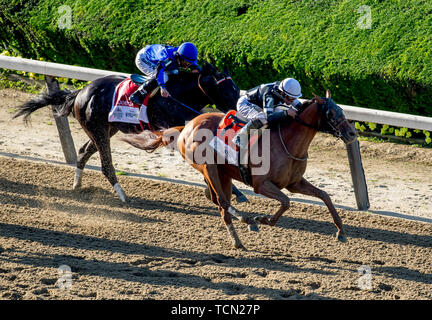 Elmont, NY, STATI UNITI D'AMERICA. 8 Giugno, 2019. Giugno 8, 2019 : #7, Sir Winston, cavalcato da Joel jockey Rosario, vince la 151st Belmont Stakes su Belmont Stakes Festival sabato a Belmont Park di Elmont, New York. John Voorhees/Eclipse Sportswire/CSM/Alamy Live News Foto Stock