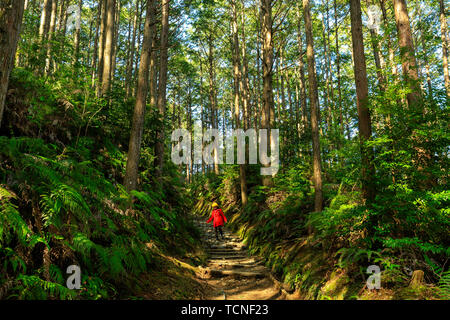 Woman in Red coat, trekking in Kumano Kodo foresta, Giappone Foto Stock