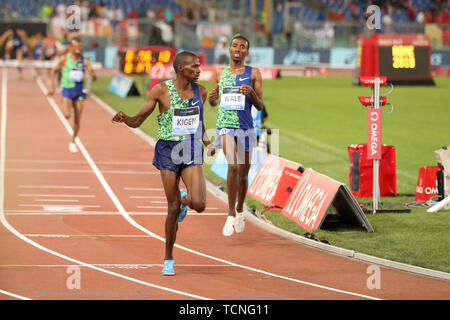 Roma, Italia - Jun 06: Benjamin Kigen e Getnet Wale competere in Uomini 3000m steeple chase evento durante la IAAF Diamond League 2019 Golden Gala Piet Foto Stock