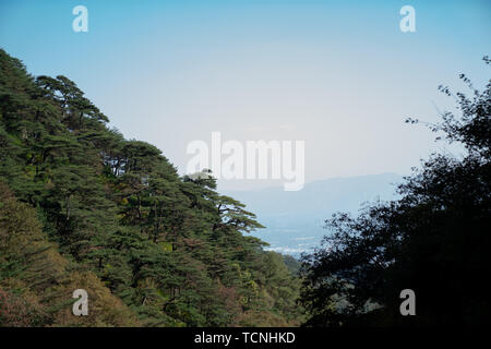 Il Monte Taishan Scenic Area Foto Stock