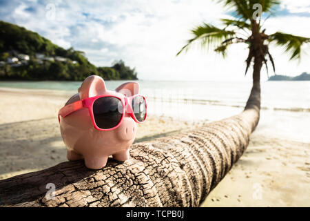 Close-up di Rosa Piggybank con gli occhiali da sole sul tronco di albero in spiaggia Foto Stock