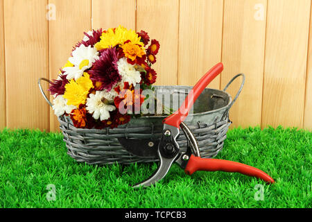 Secateurs con fiori in cesto su sfondo di recinzione Foto Stock