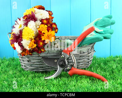 Secateurs con fiori in cesto su sfondo di legno Foto Stock