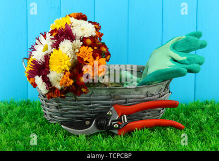 Secateurs con fiori in cesto su sfondo di legno Foto Stock