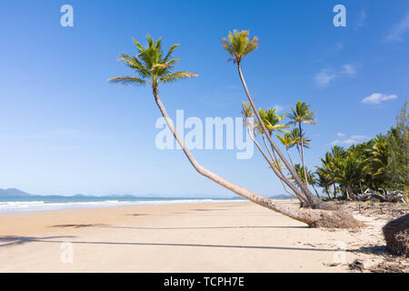 Antenna vista superiore di spiaggia con sabbia bianca, splendide palme e turchesi acque tropicali in Tropical Paradise Island, tropici Foto Stock